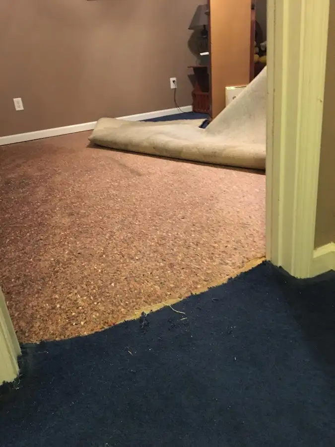 Carpet pad removal revealing water damage during Drying & Dehumidification in Pittsburgh
